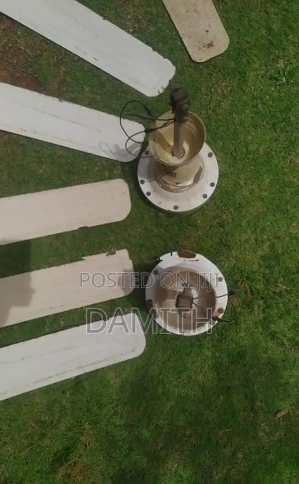 Ceiling Fan