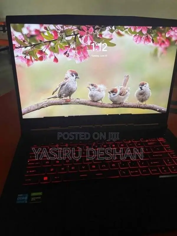 MSI GF63 Thin Gaming Laptop