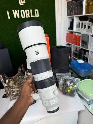 Sony 200-600 G OSS