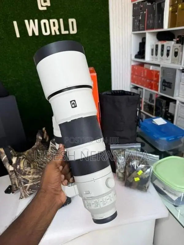 Sony 200-600 G OSS