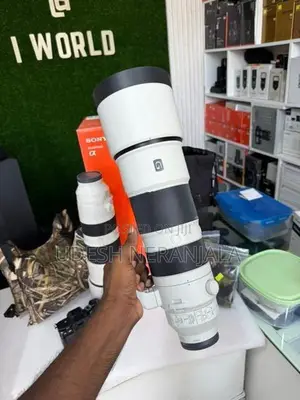 Sony 200-600 G OSS