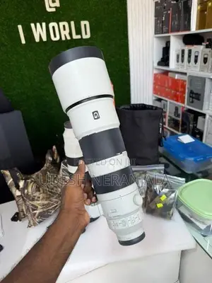 Sony 200-600 G OSS