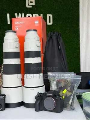 Sony 200-600 G OSS