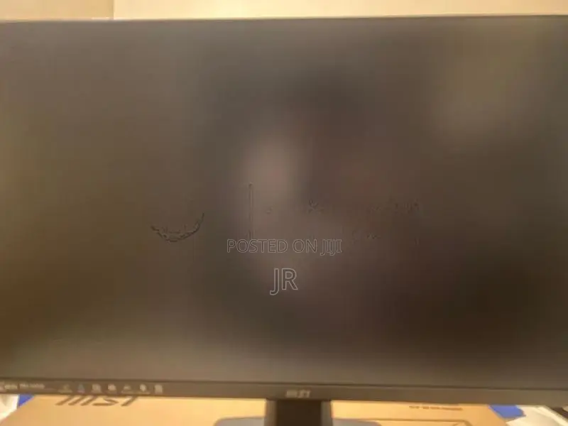 MSI PRO MP251 100Hz Monitor