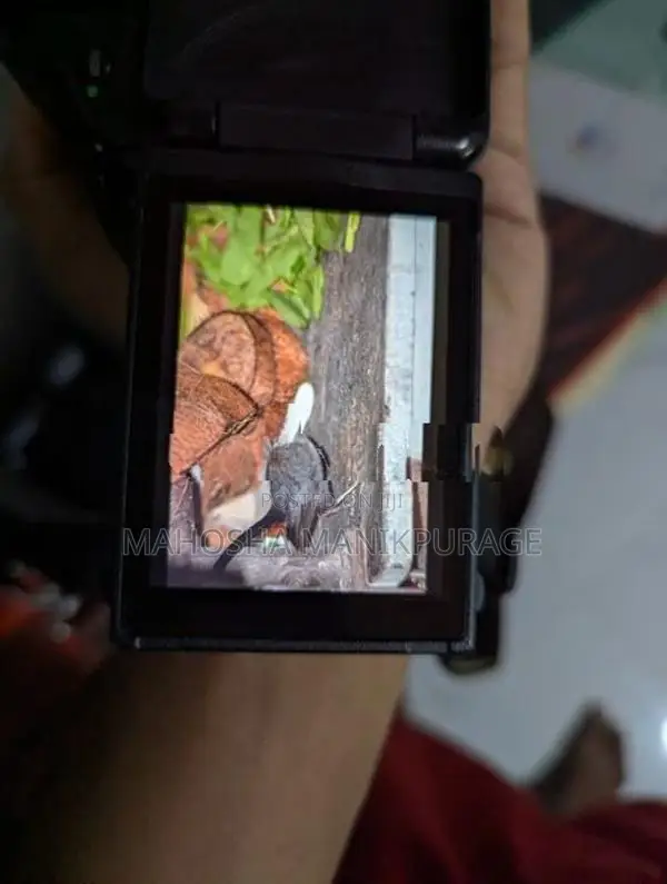 Nikon D5100 with Combo Set