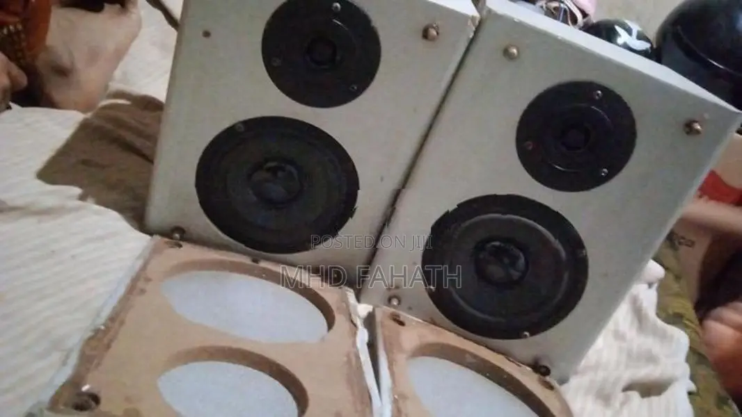 Buffle Speaker