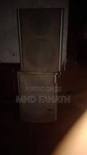 Buffle Speaker