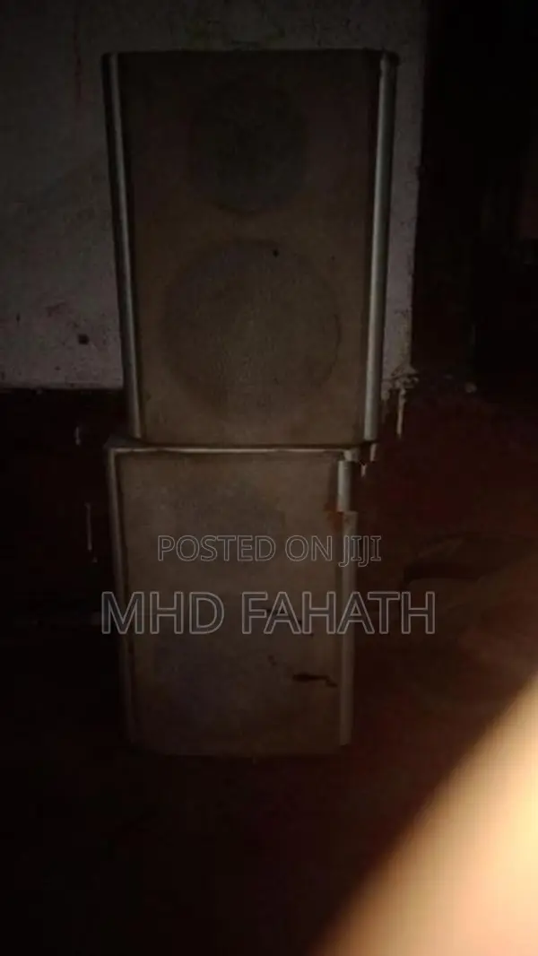 Buffle Speaker
