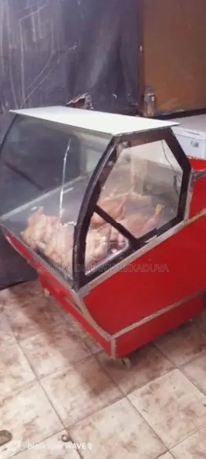 Display Freezer