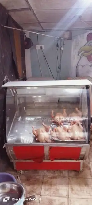 Display Freezer