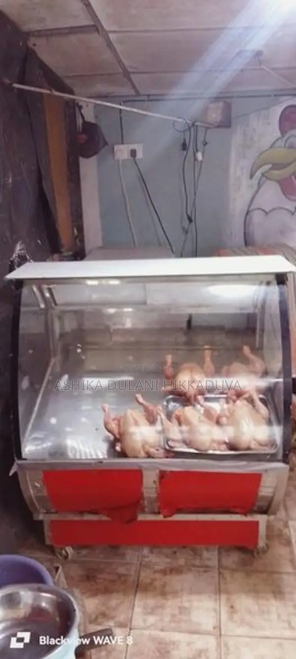 Display Freezer