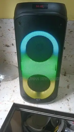 NDR 810 Subwoofer