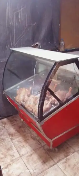 Display Freezer