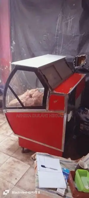 Display Freezer