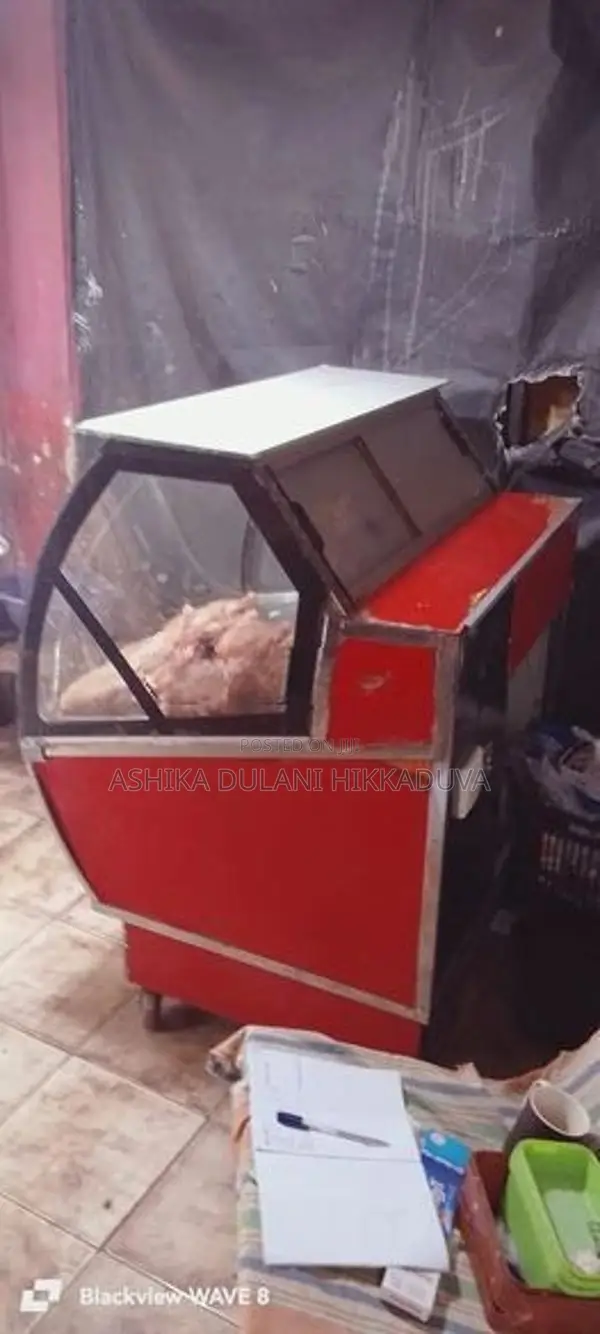 Display Freezer