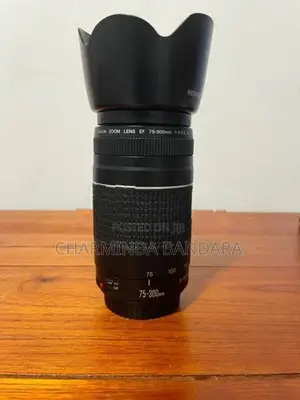 Canon EOS 70D with Lens