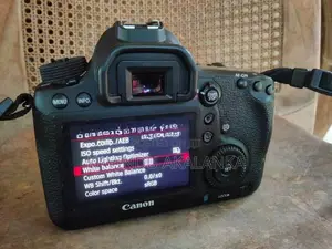 Canon 6d with 50mm Stm Lens