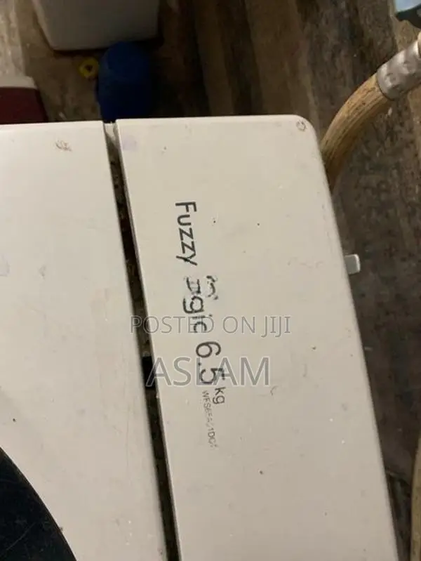 LG Fuzzy Logic Washing Machine
