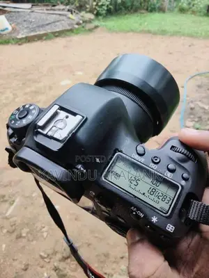 Canon 6d with 50mm Stm Lens