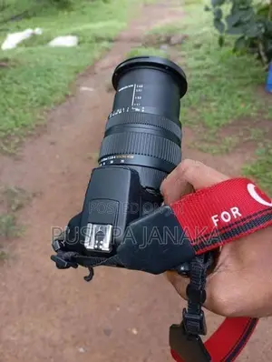 Canon 4000 D Sigma 17-70mm