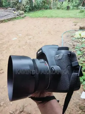 Canon 6d with 50mm Stm Lens