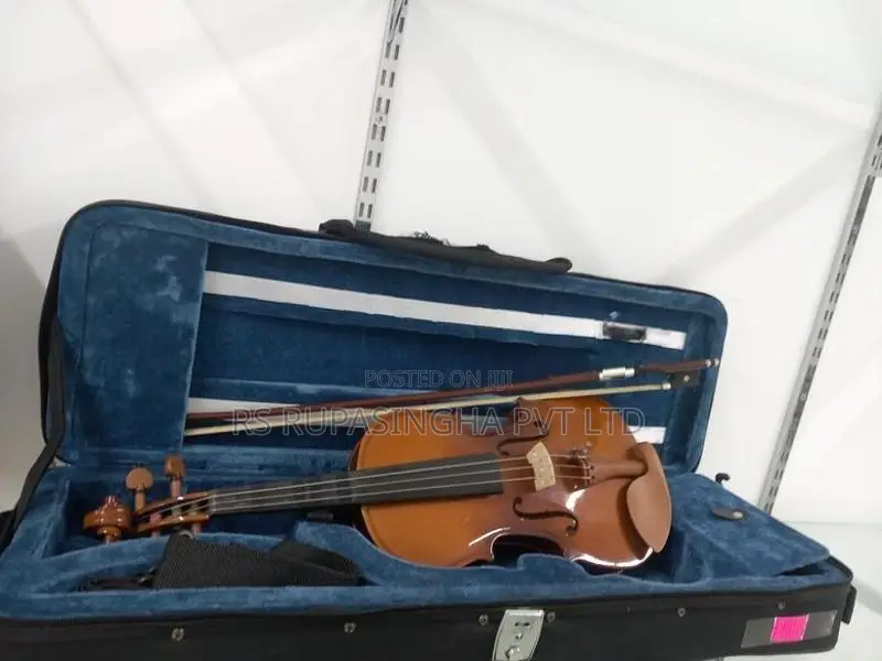 Violin