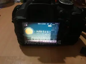 Nikon D3100