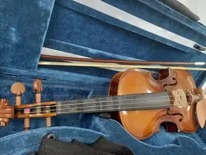 Violin