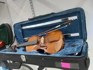 Violin