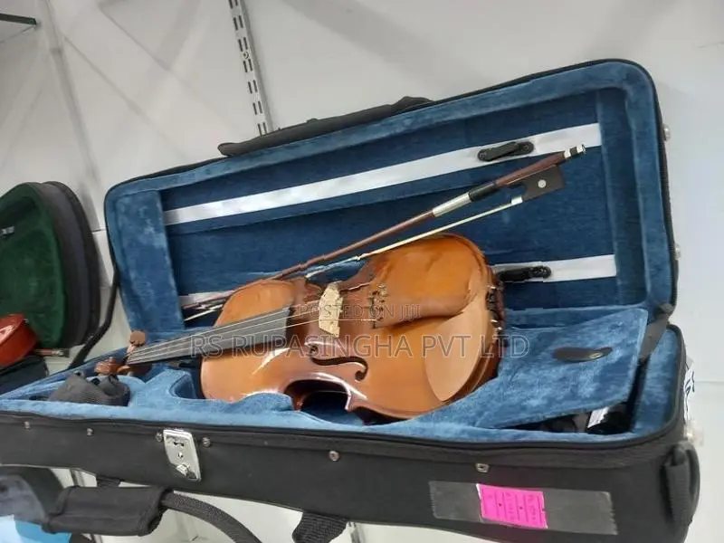 Violin