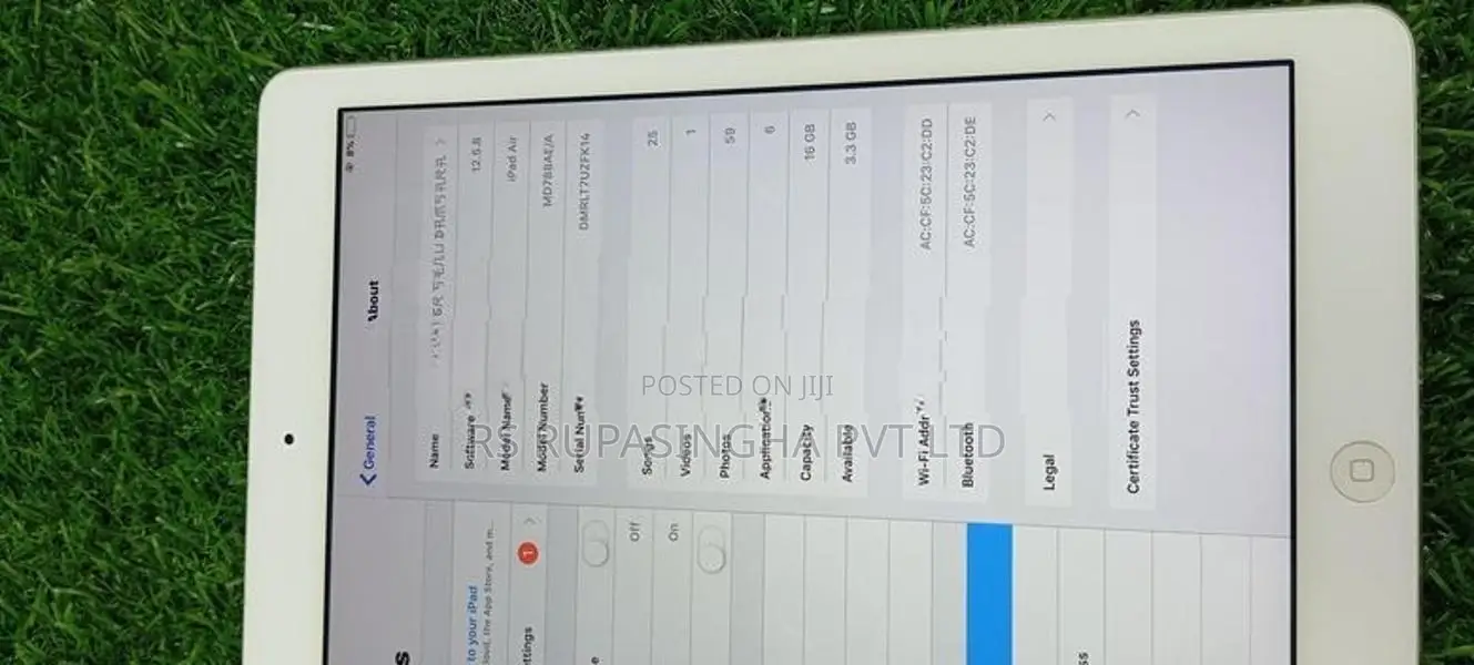 Apple iPad Air