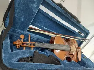 Violin