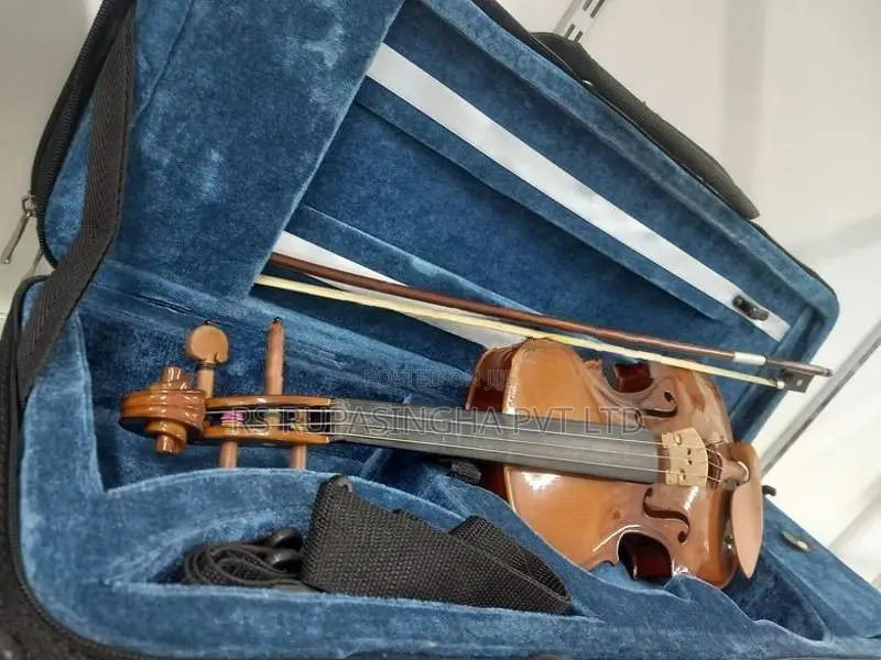 Violin