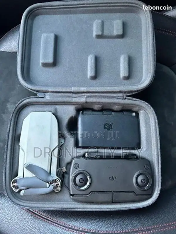 DJI Mavic Mini Drone