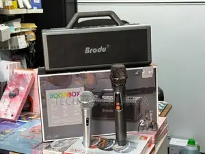 Brodu BTS 2348 portable Party Box with Mic