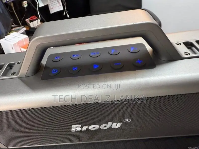 Brodu BTS 2348 portable Party Box with Mic