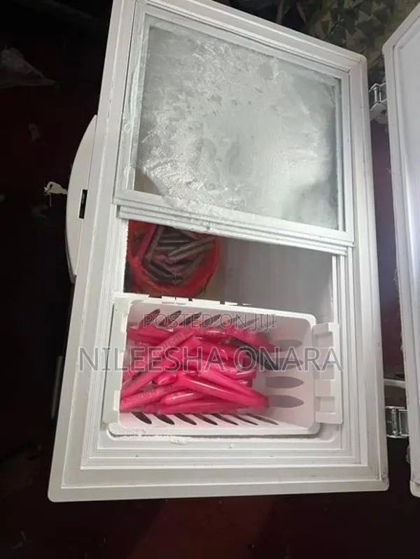 Sisil Freezer