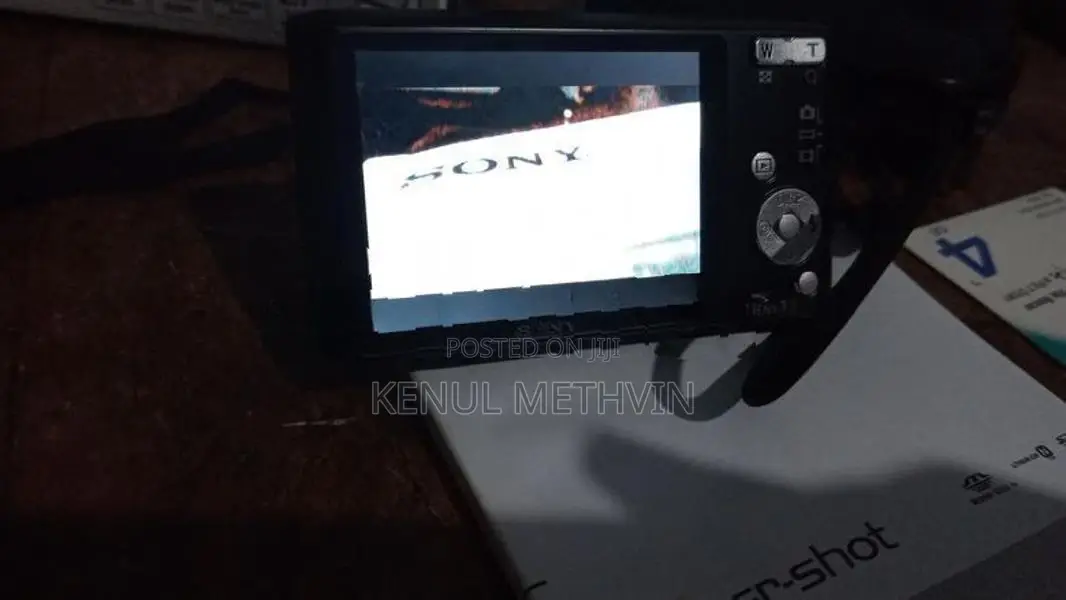 Sony Cyber-shot DSC-W610 Digital Camera