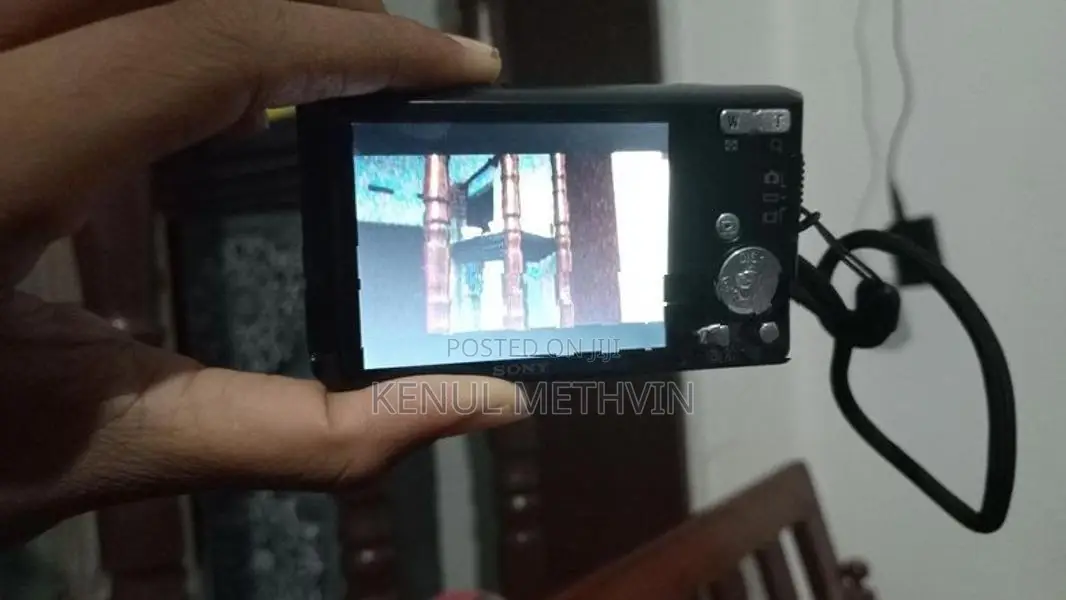Sony Cyber-shot DSC-W610 Digital Camera