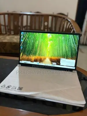 Asus Expertbook PM1503CDA