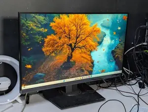 27 INCH FRAMLESS IPS MONITOR