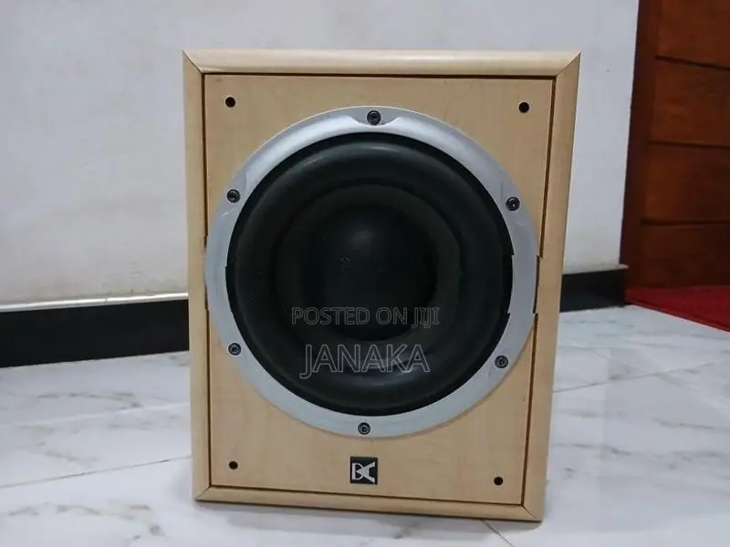 Dynamic Audio Powered Subwoofer
