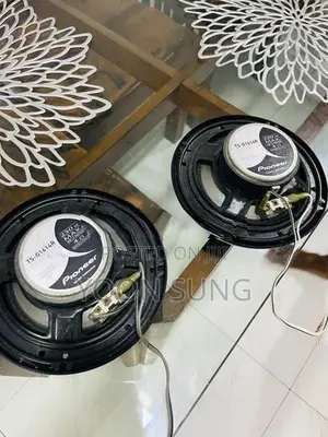 Pioneer Dual Cone Speakers