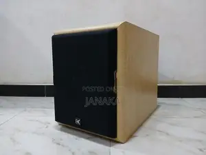 Dynamic Audio Powered Subwoofer