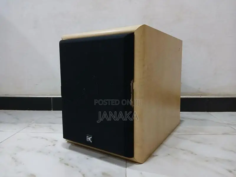 Dynamic Audio Powered Subwoofer