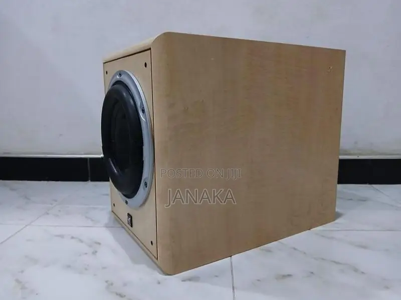 Dynamic Audio Powered Subwoofer