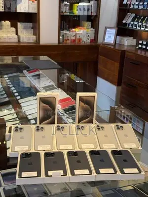Apple iPhone 15 Pro Max 256GB (Used)