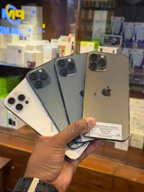 Apple iPhone 12 Pro Max 256GB (Used)
