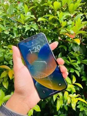 Apple iPhone X 64gb (Used)