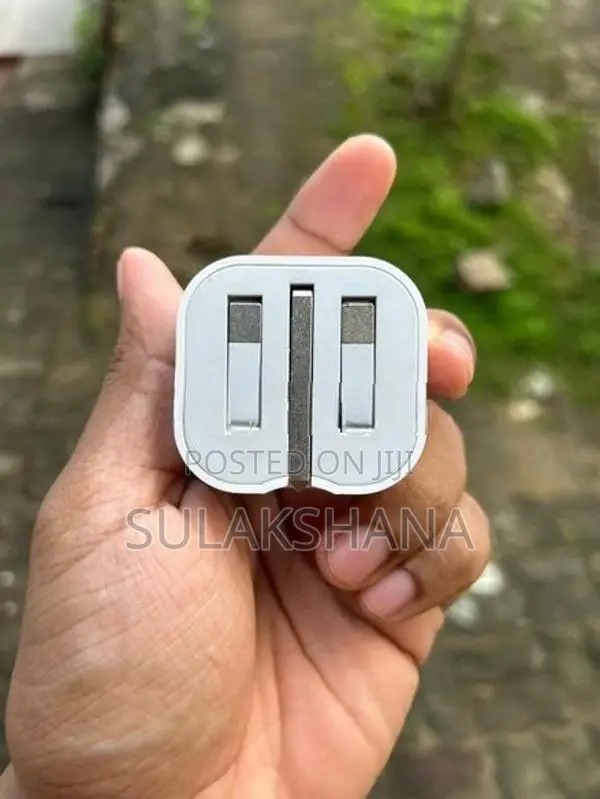 Apple iPhone Charger